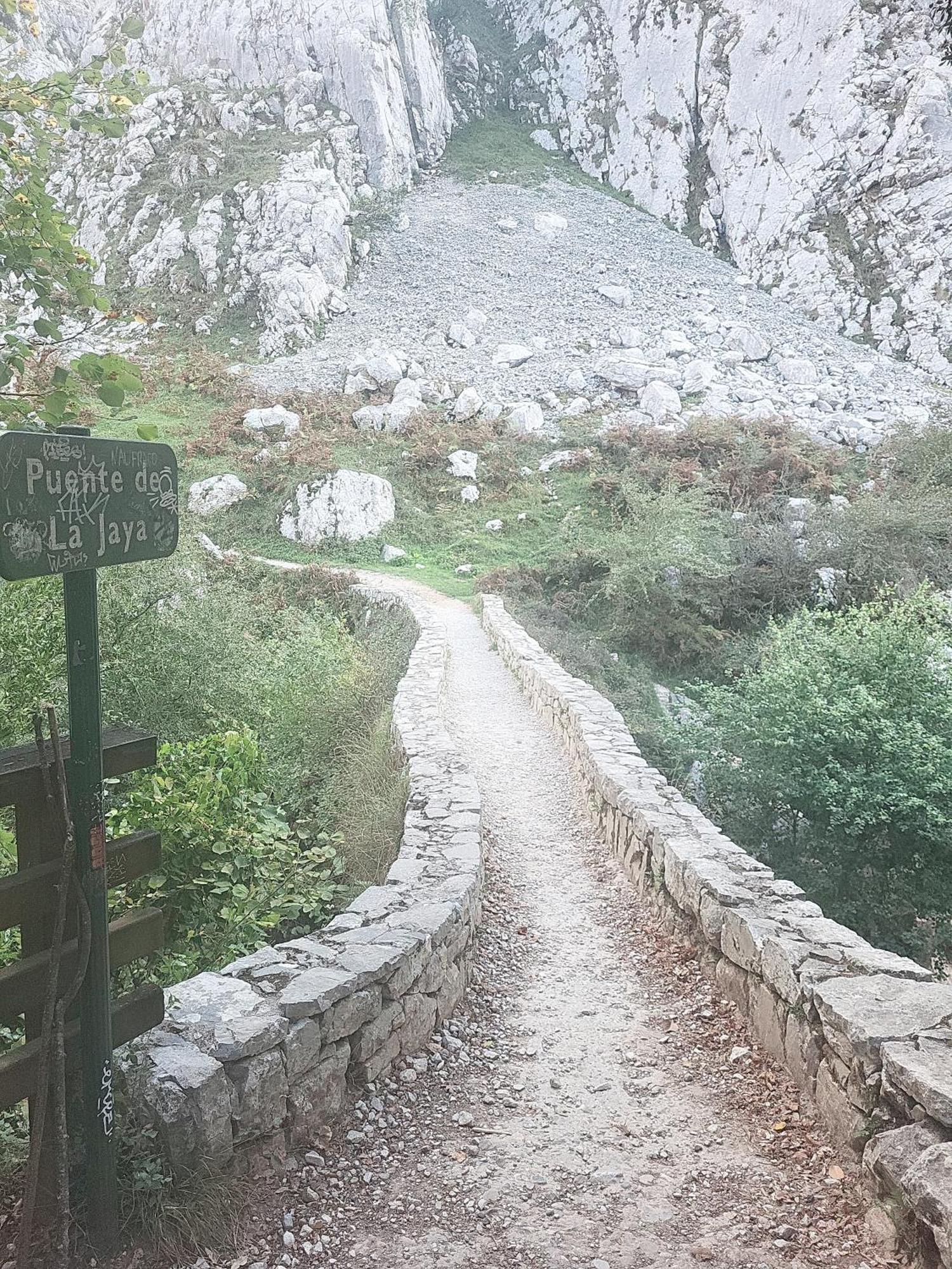 Ribeles Luxury Flat Daire Arenas De Cabrales Dış mekan fotoğraf